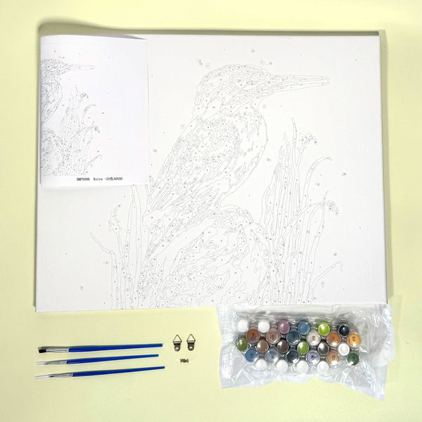 Bree Merryn Paint By Numbers – Robert