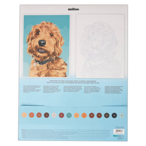 Artiste Paint By Numbers Labradoodle 14 colours 3 brushes