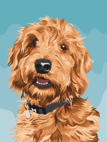 Artiste Paint By Numbers Labradoodle 14 colours 3 brushes