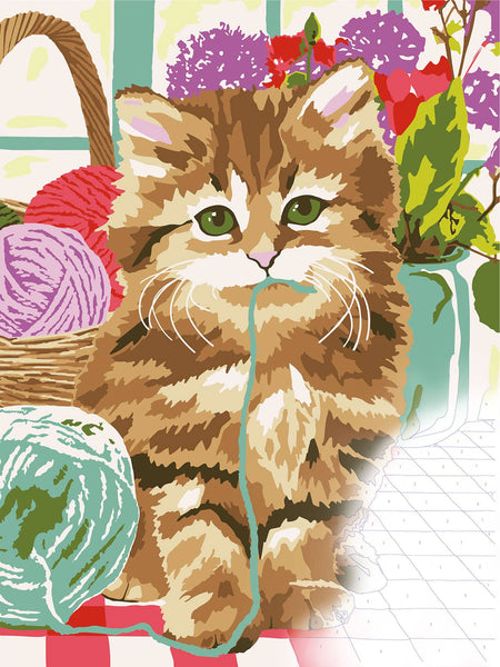 Artiste Paint By Numbers - Cute Kitten 14 colours, 3 brushes