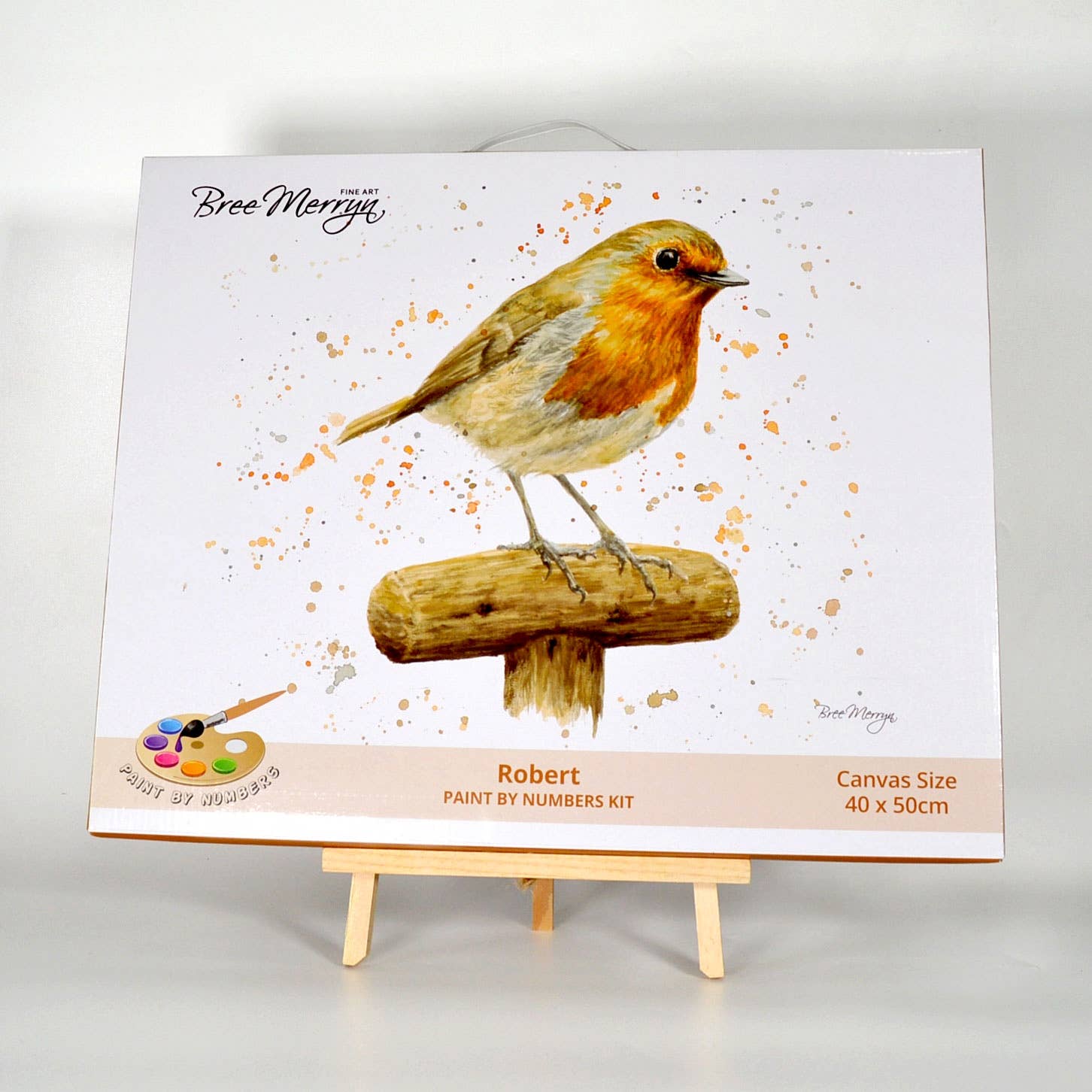 Bree Merryn Paint By Numbers – Robert