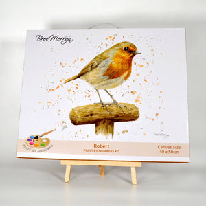 Bree Merryn Paint By Numbers – Robert