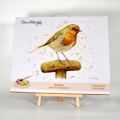 Bree Merryn Paint By Numbers – Robert
